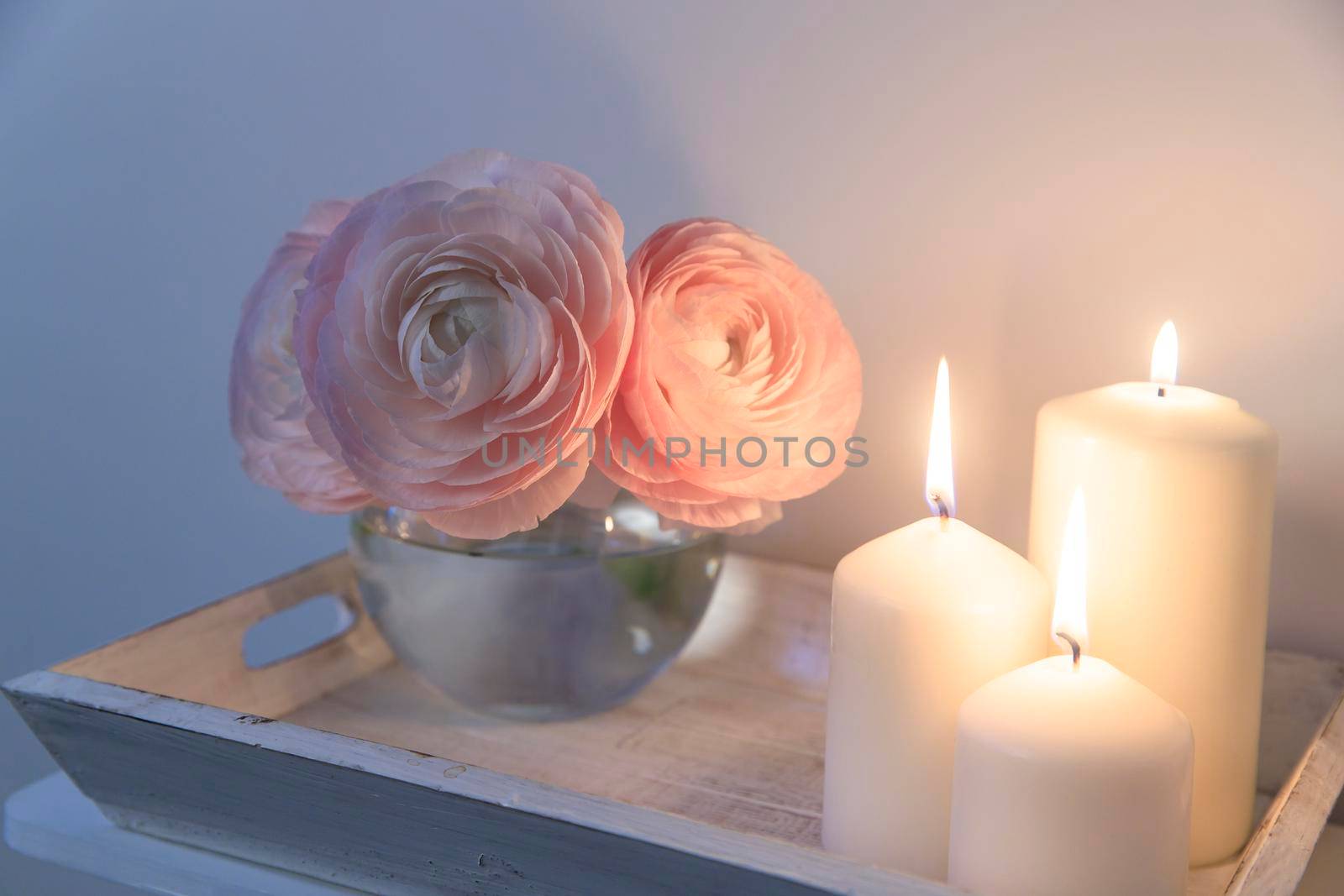 Three pale pink ranunculus in a transparent round vase and candles on the white windowsill. Copy space. Place for text by elenarostunova
