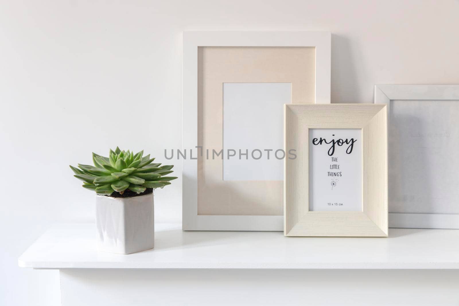 Echeveria in a geometric vase, photo frames on a chest of drawers against a white wall. Scandinavian style. Ready layout.