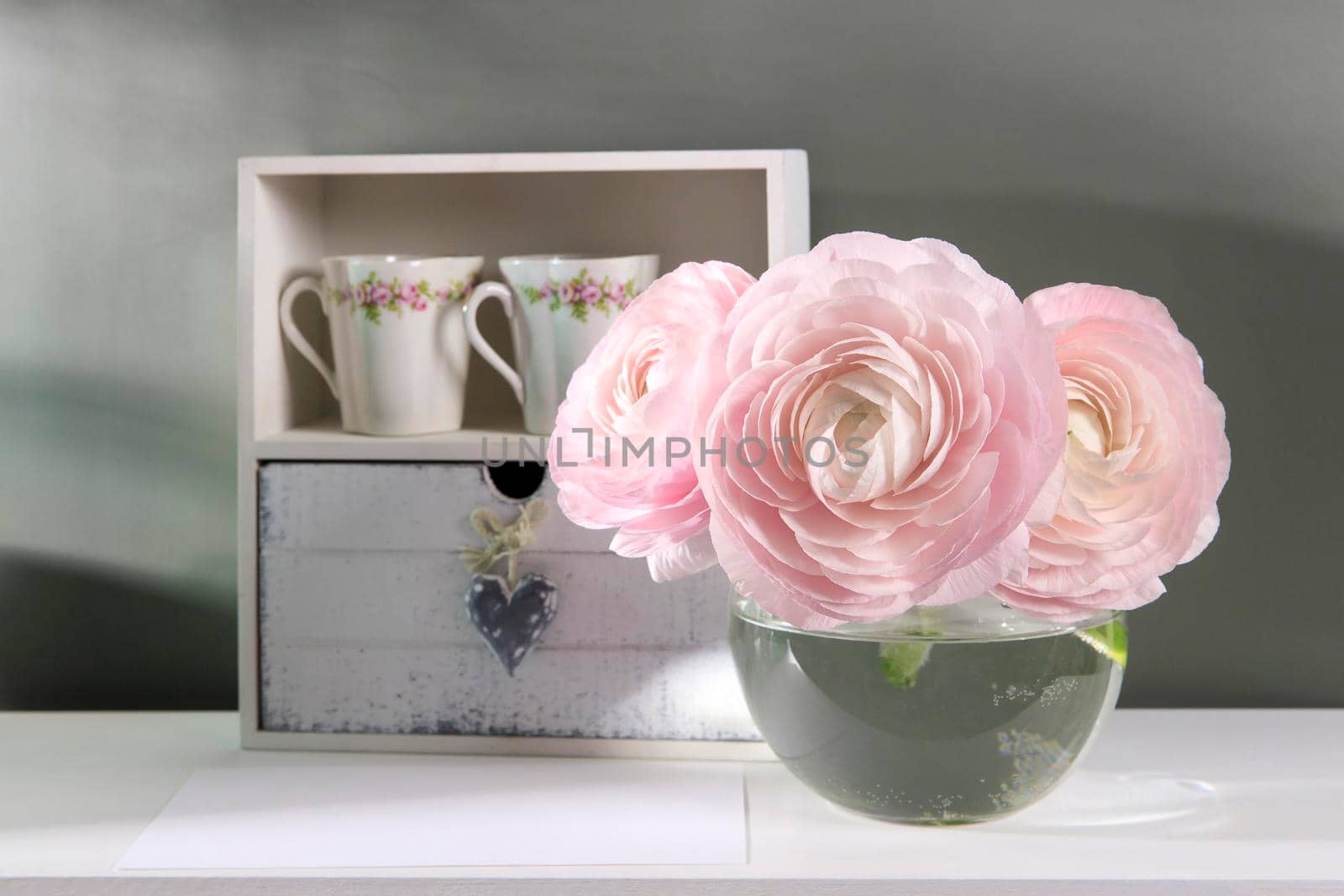 Three pale pink ranunculus in a transparent round vase on the white windowsill. Copy space. Place for text by elenarostunova