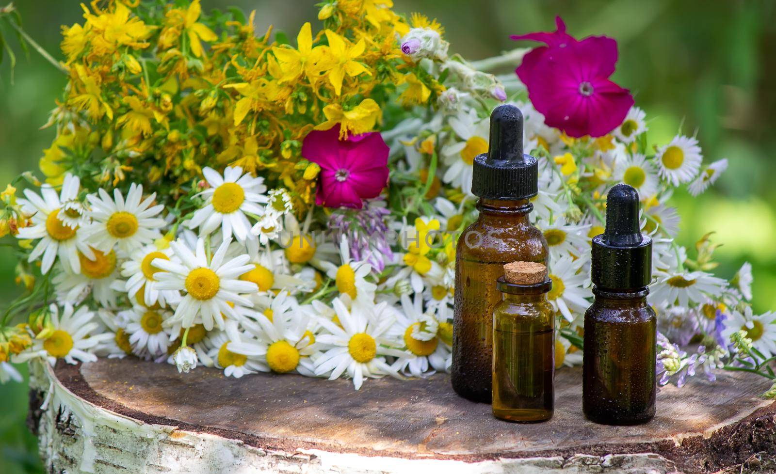 remedy St. John's wort and chamomile flower in a glass bottle close-up horizontal. Nature. Selective focus.