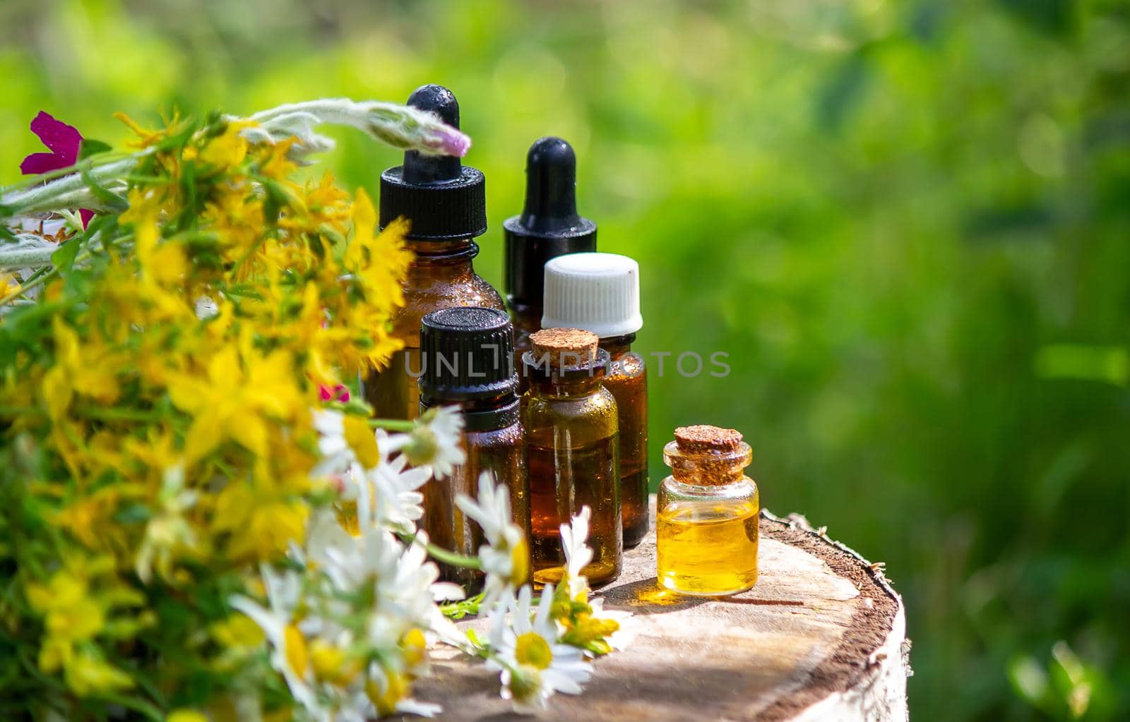 remedy St. John's wort and chamomile flower in a glass bottle close-up horizontal. Nature. Selective focus.