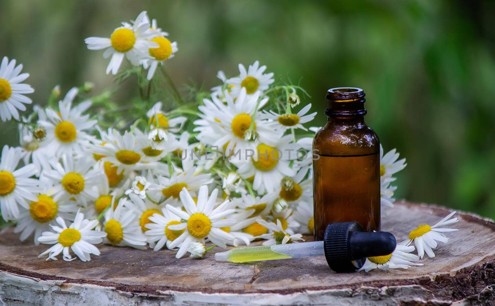 chamomile essential oil on a wooden background. Selective focus