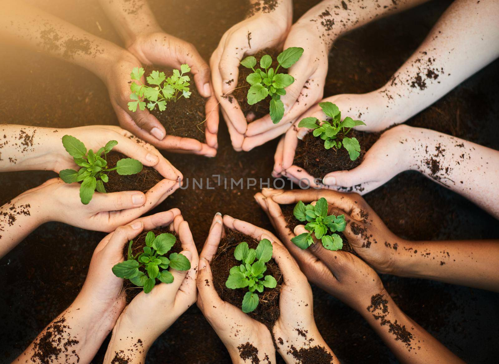 Green and growing. Shot of a group of people each holding a plant growing in soil. by YuriArcurs