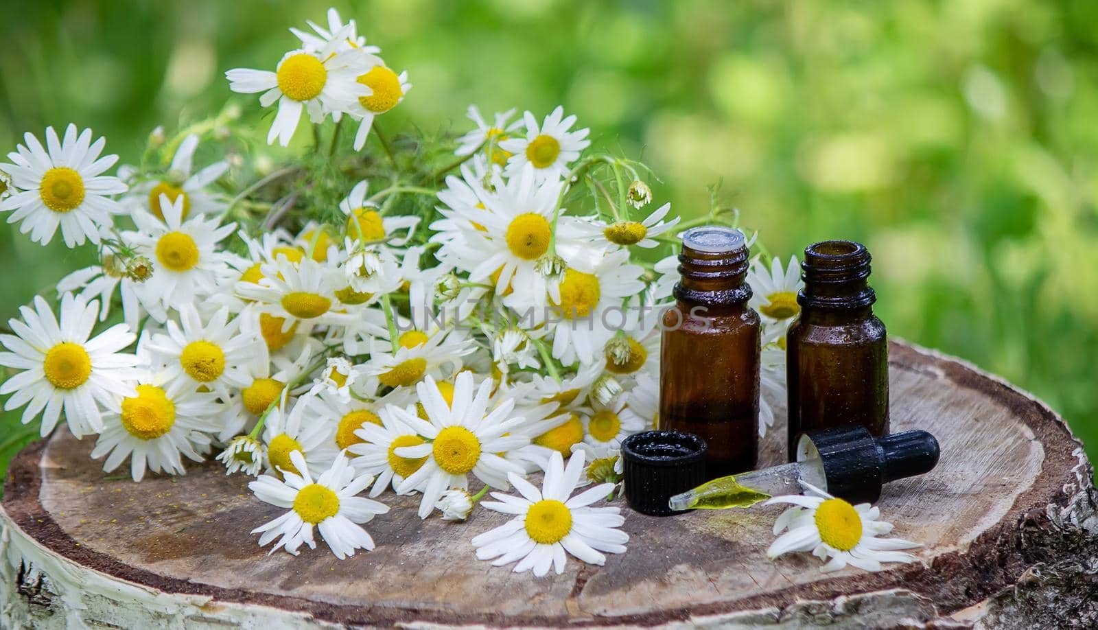 chamomile essential oil on a wooden background. Selective focus