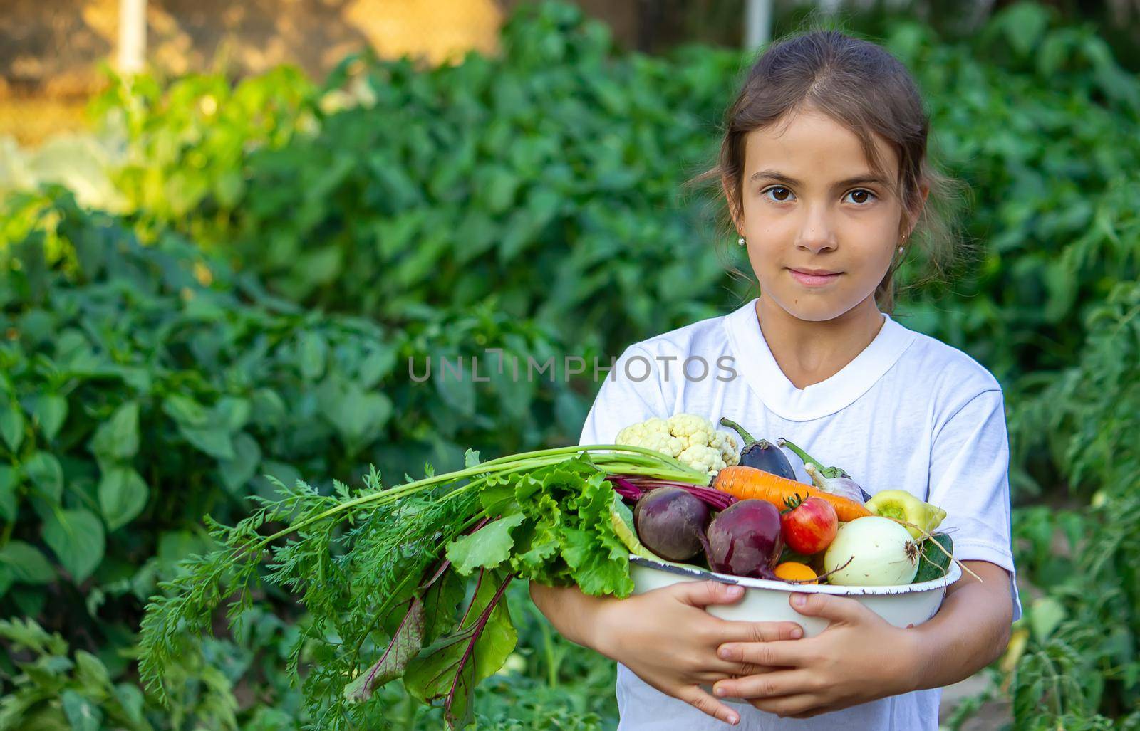 vegetables in the hands of children on the farm. Selective focus. Nature