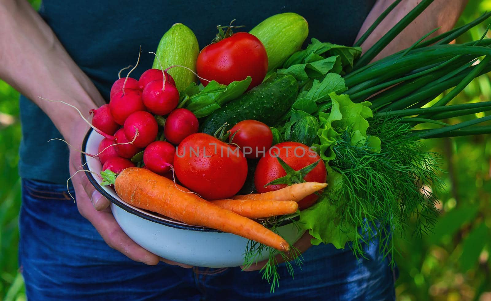 farmer in blue clothes holds ripe vegetables in his hands. Carrots, pink radishes, zucchini, cucumber, onions. No plastic, no waste, ecology Selective focus