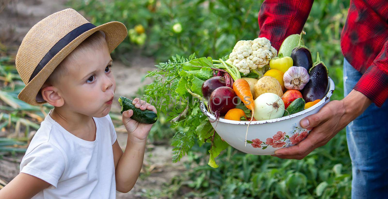 a man holds a bowl of fresh vegetables from the farm in his hands. Nature. Selective focus