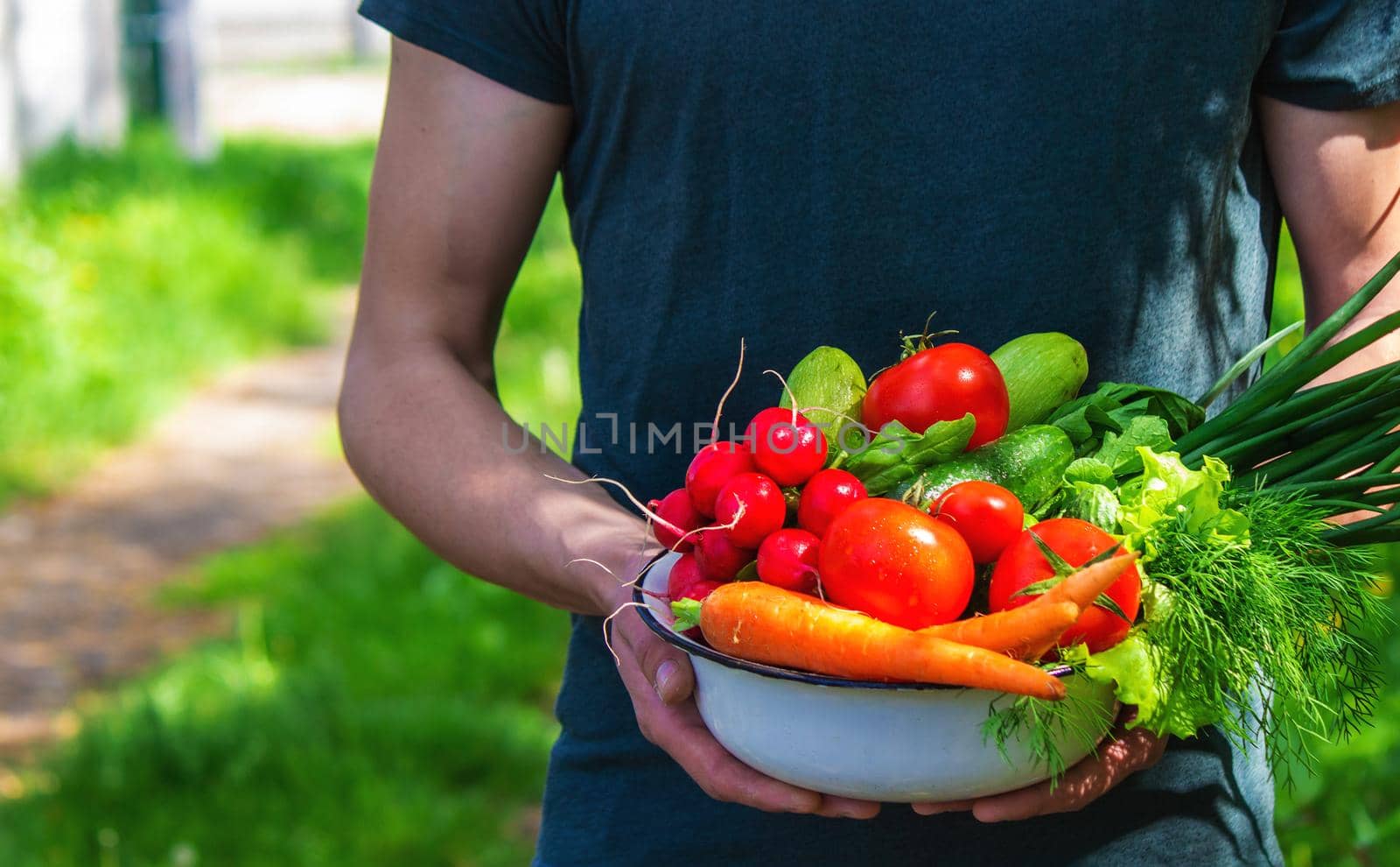 farmer in blue clothes holds ripe vegetables in his hands. Carrots, pink radishes, zucchini, cucumber, onions. No plastic, no waste, ecology Selective focus