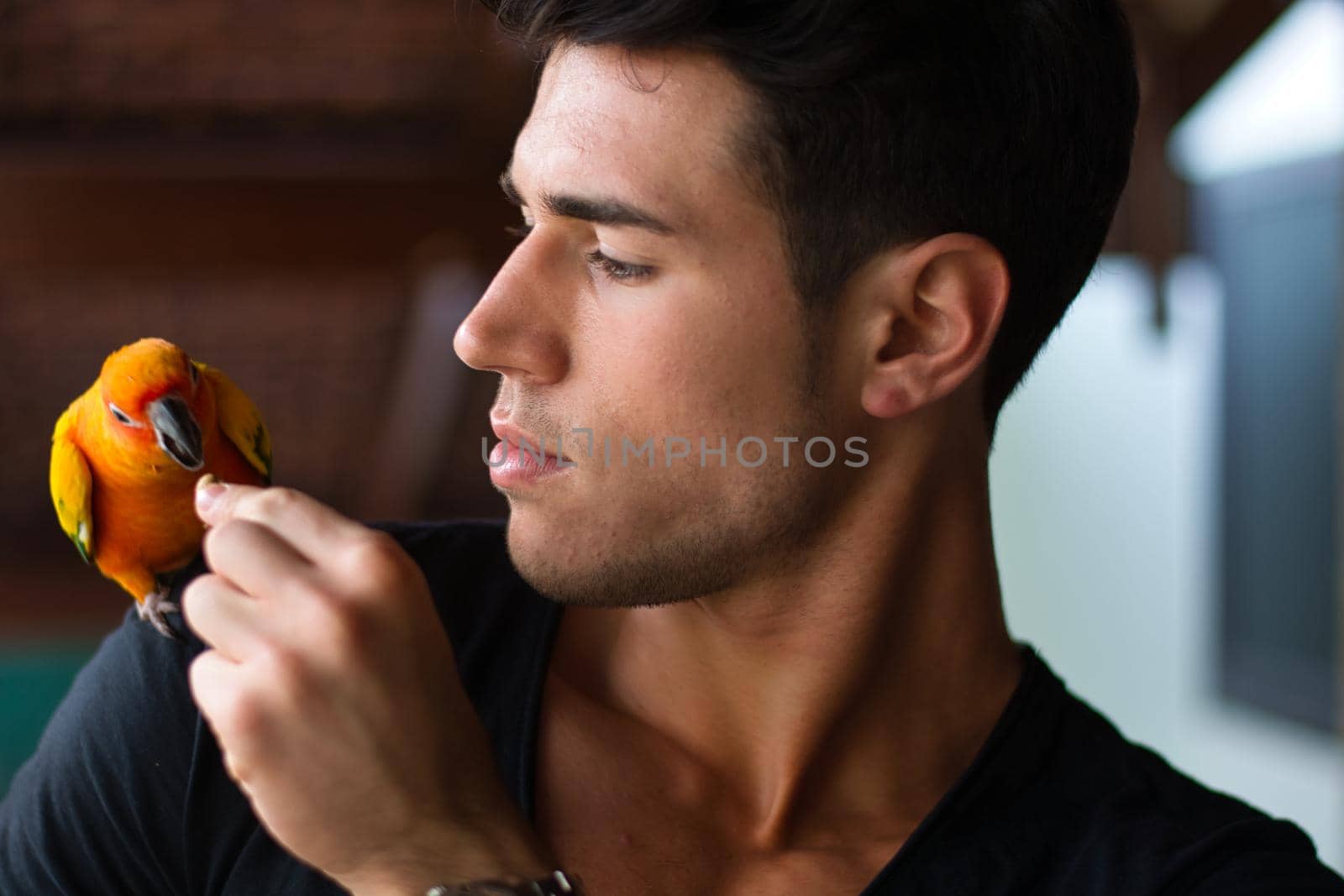 Smiling handsome man feeding parrot sitting on his shoulder. Horizontal indoors shot