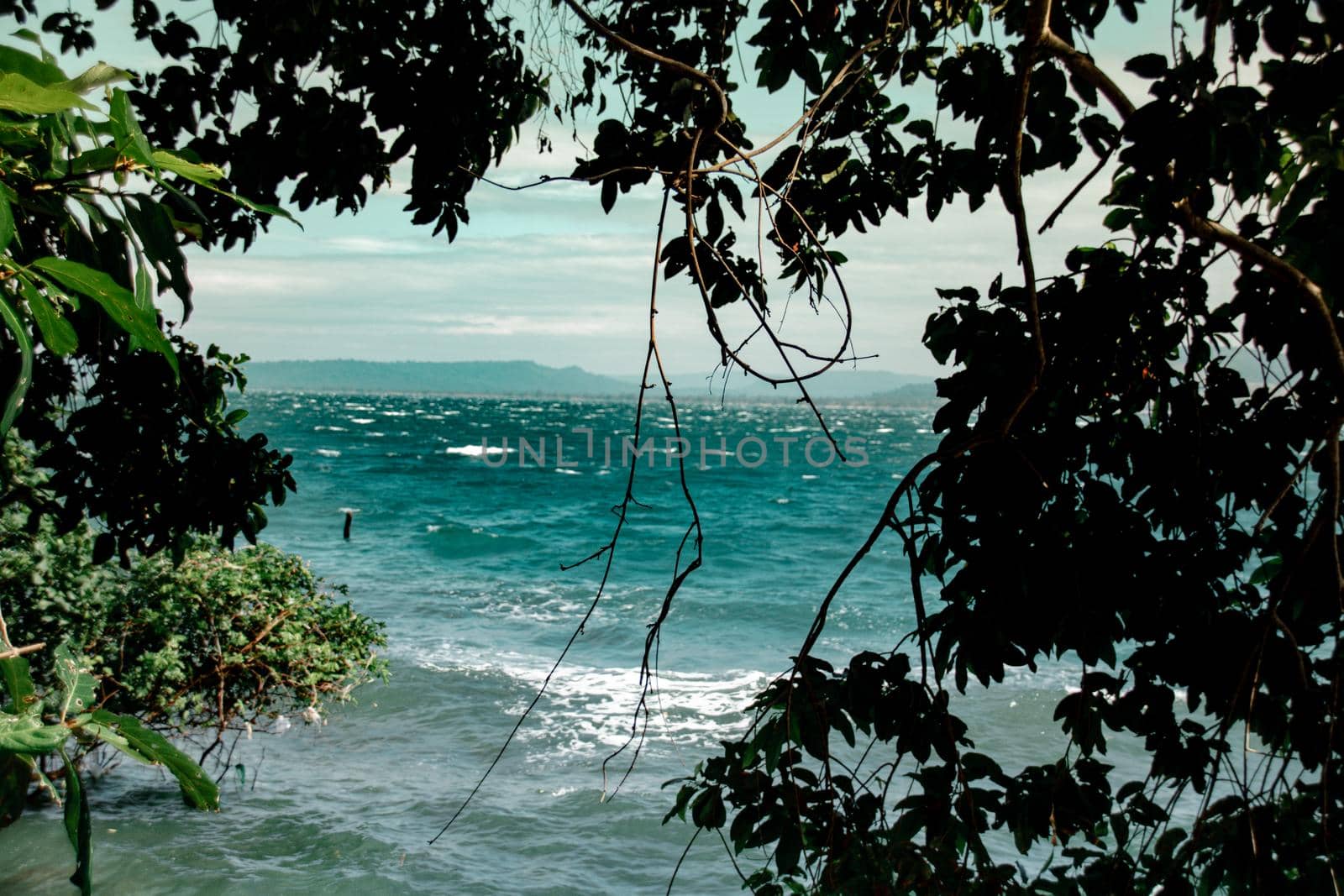 Cinematic scenery of the tropical blue sea and sky framed by tree branches during the summer in Koh rong Island, Cambodia