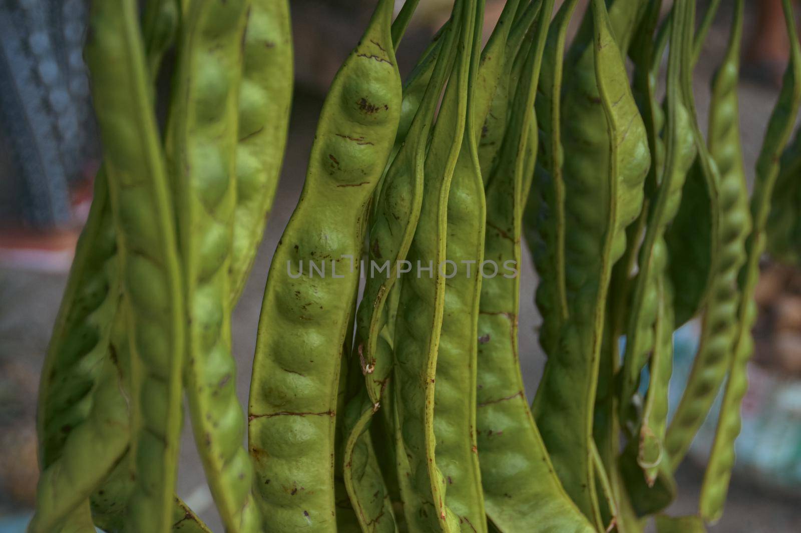 Close up of stink beans by Sonnet15