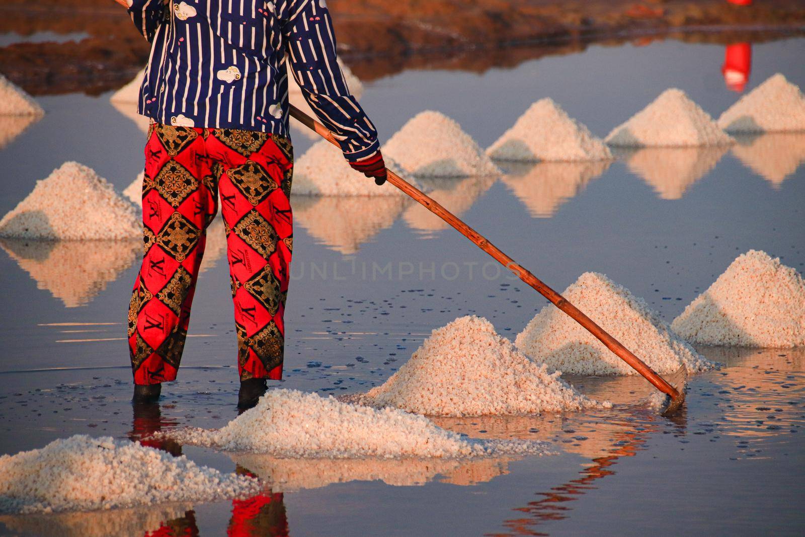 Worker harvesting salt manually in Kampot, Cambodia