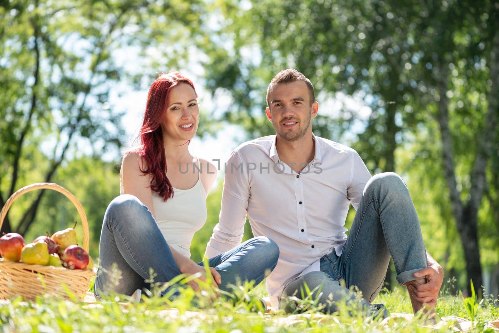 Couple on a picnic in the park by adam121