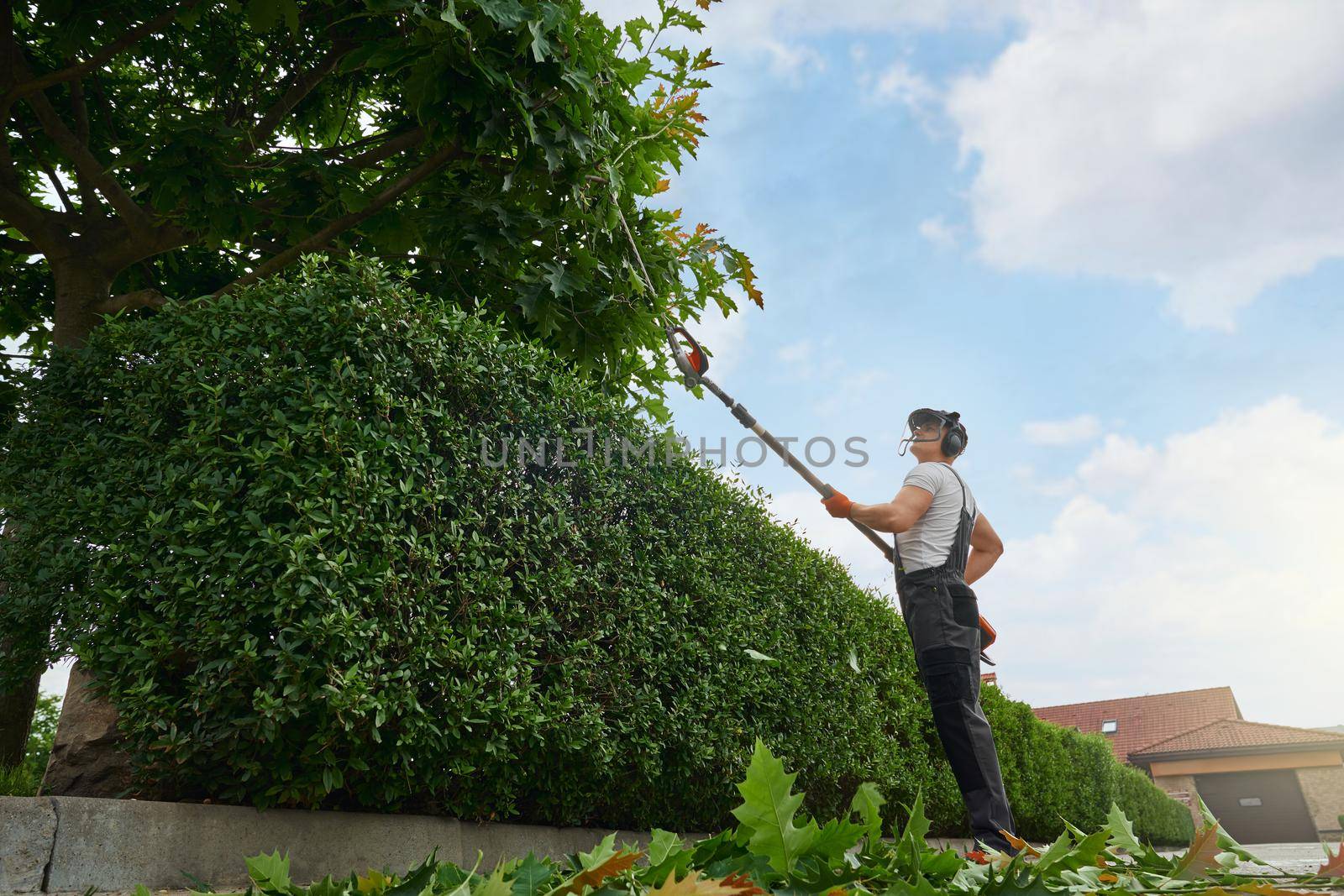 Male gardener using electric trimmer for cutting hedge by SerhiiBobyk