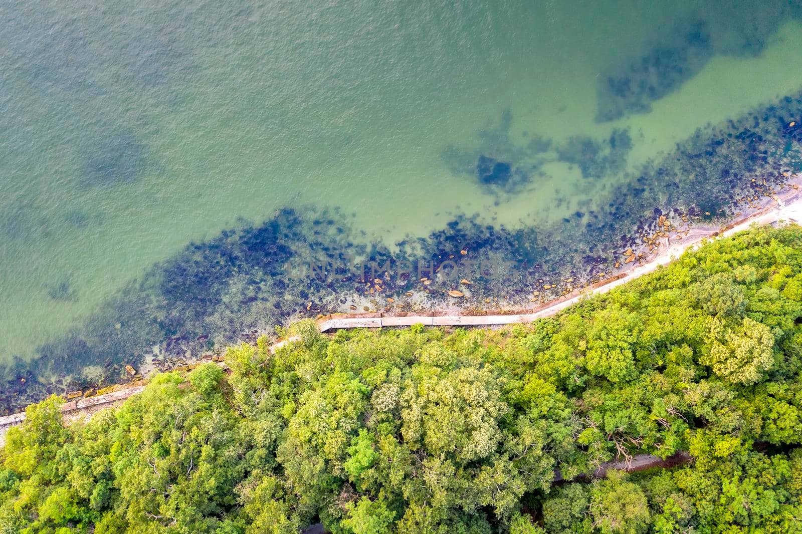 Aerial top view from drone to the coastline covered with green forest near the sea. by EdVal