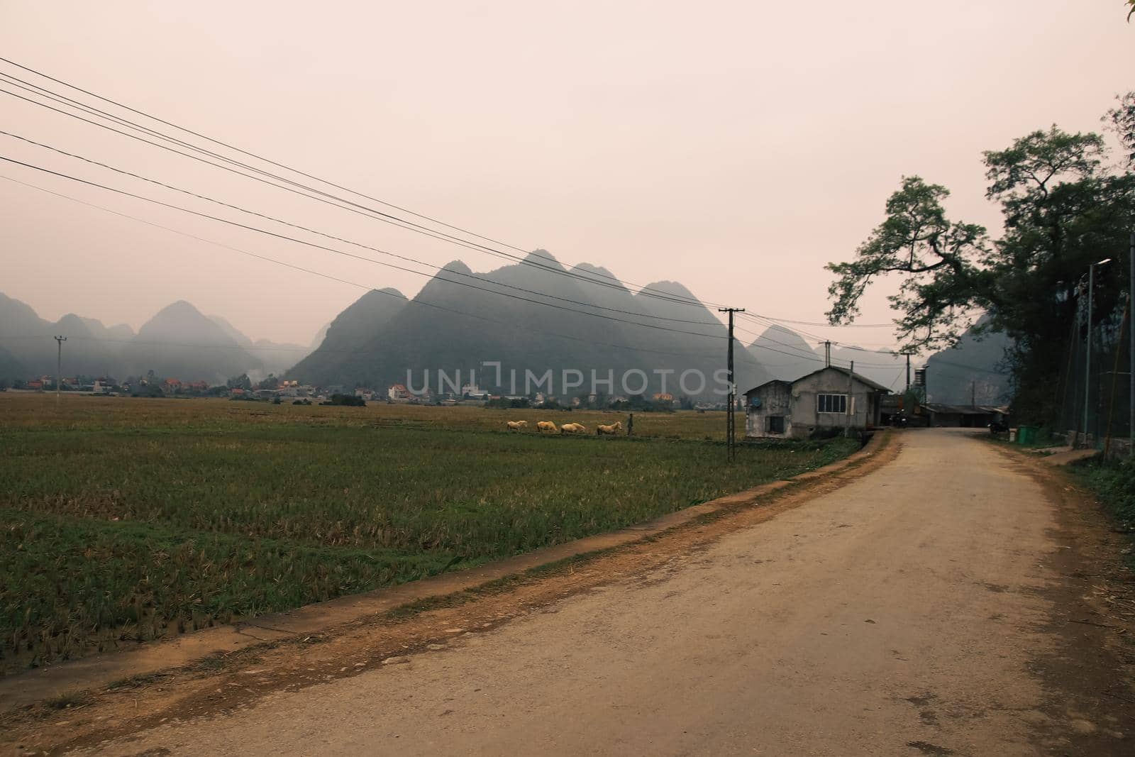 Rural landscape of Bac Son Vietnam by Sonnet15
