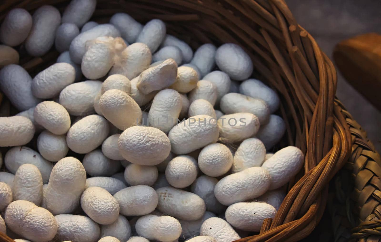 White silkworm cocoons in a hand woven wicker basket