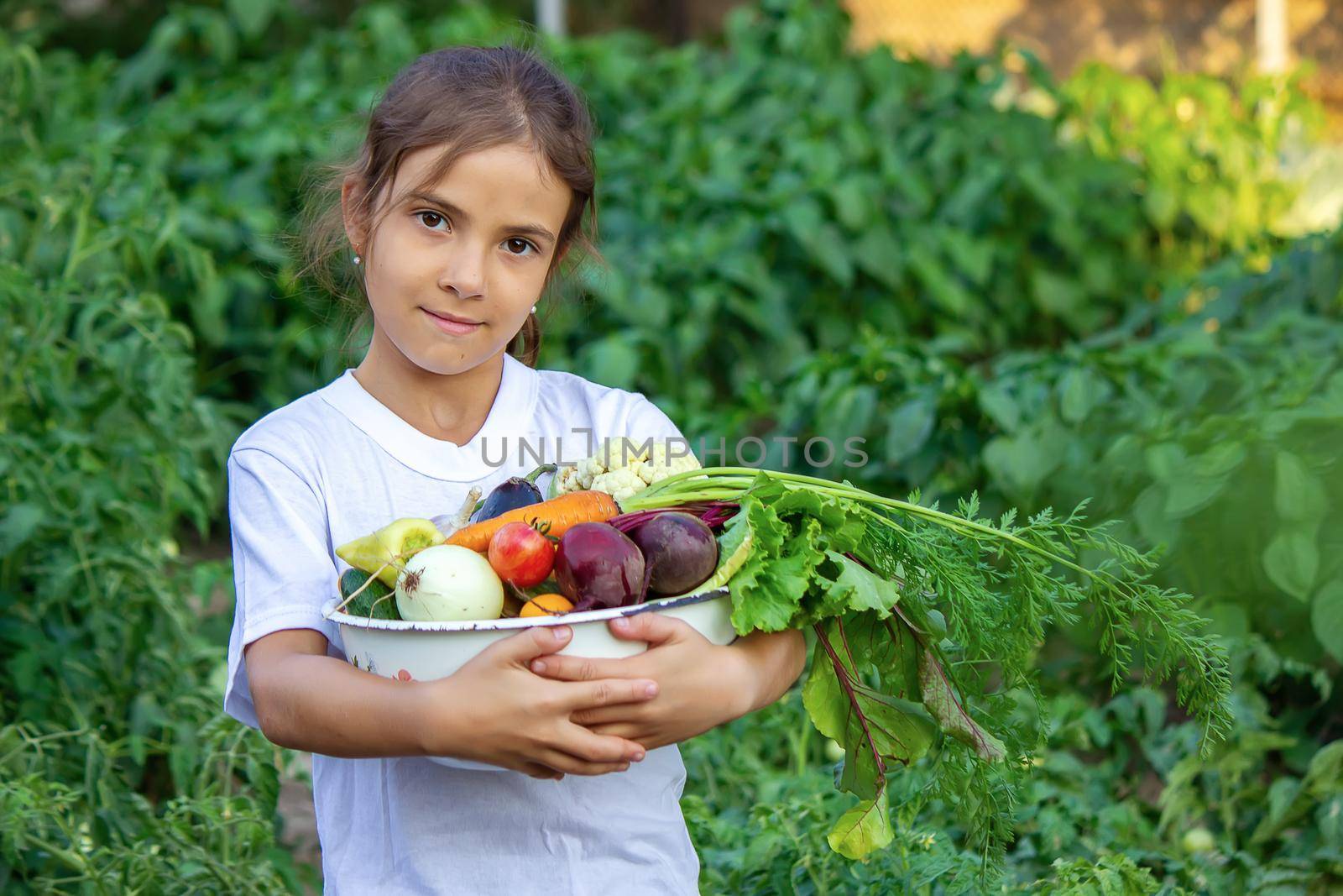 vegetables in the hands of children on the farm. Selective focus. Nature