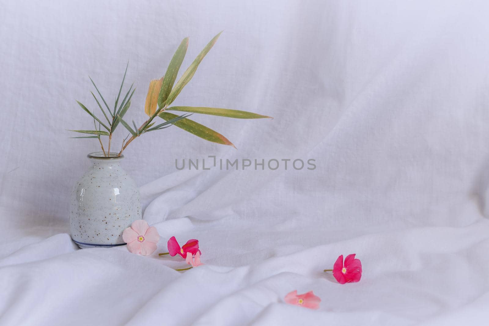 fresh and tranquil Spring aesthetic by Sonnet15