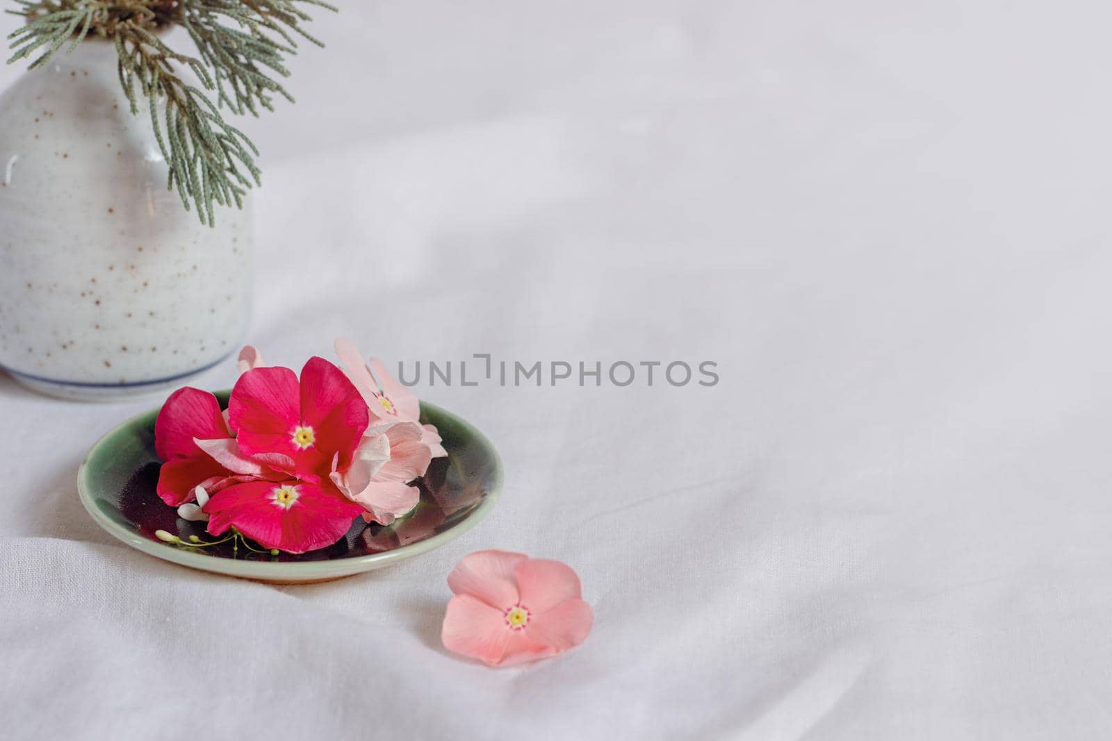 Composition of dainty periwinkle flowers in a bright white background showing fresh and tranquil Spring aesthetic