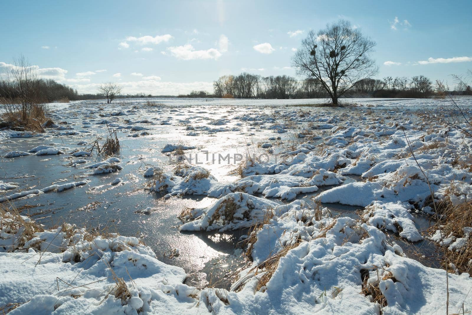 Sunlight in the frozen water on the meadow, winter sunny day, Zarzecze, Poland