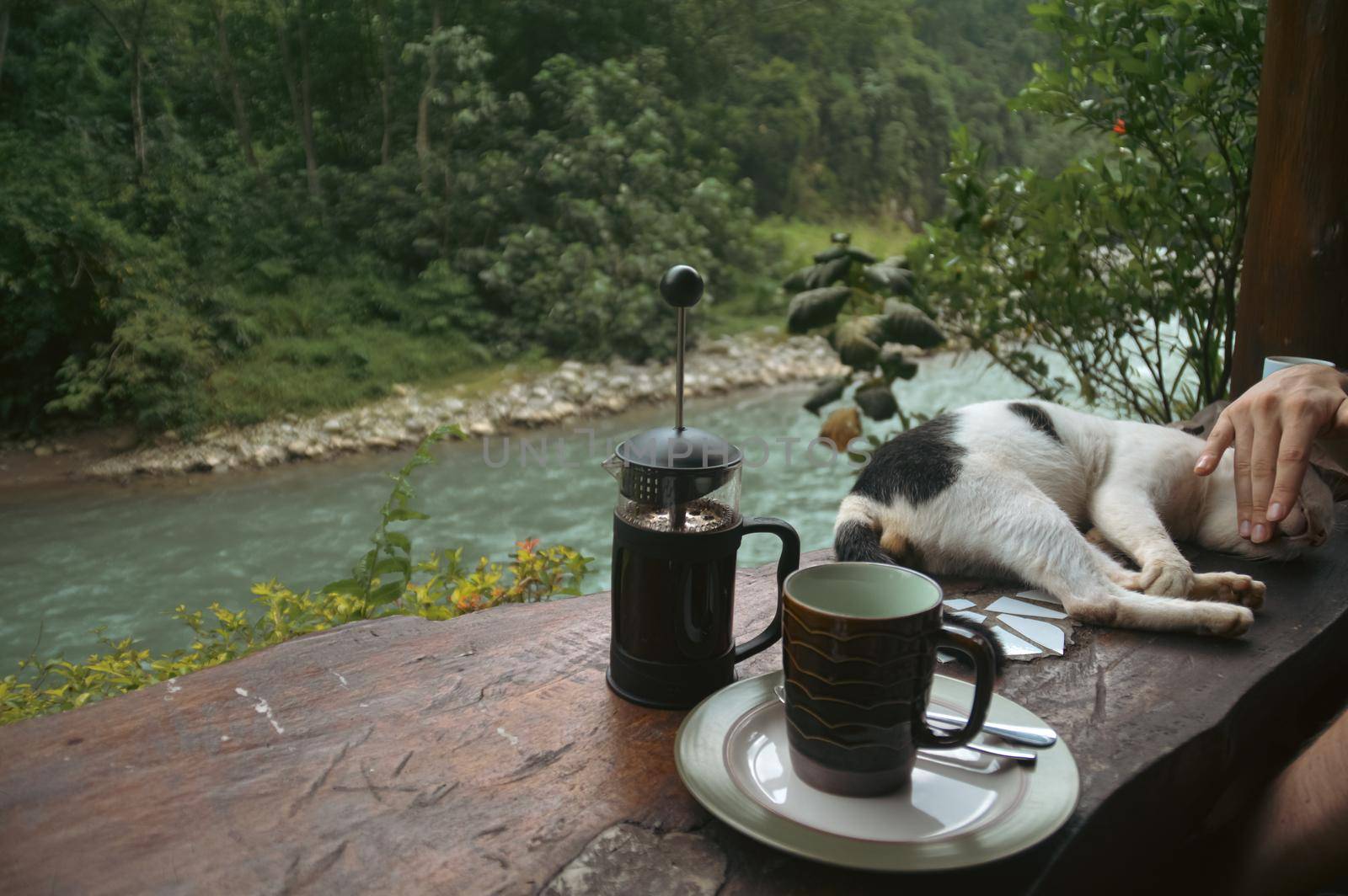 Relaxing coffee time with a pet cat by Sonnet15