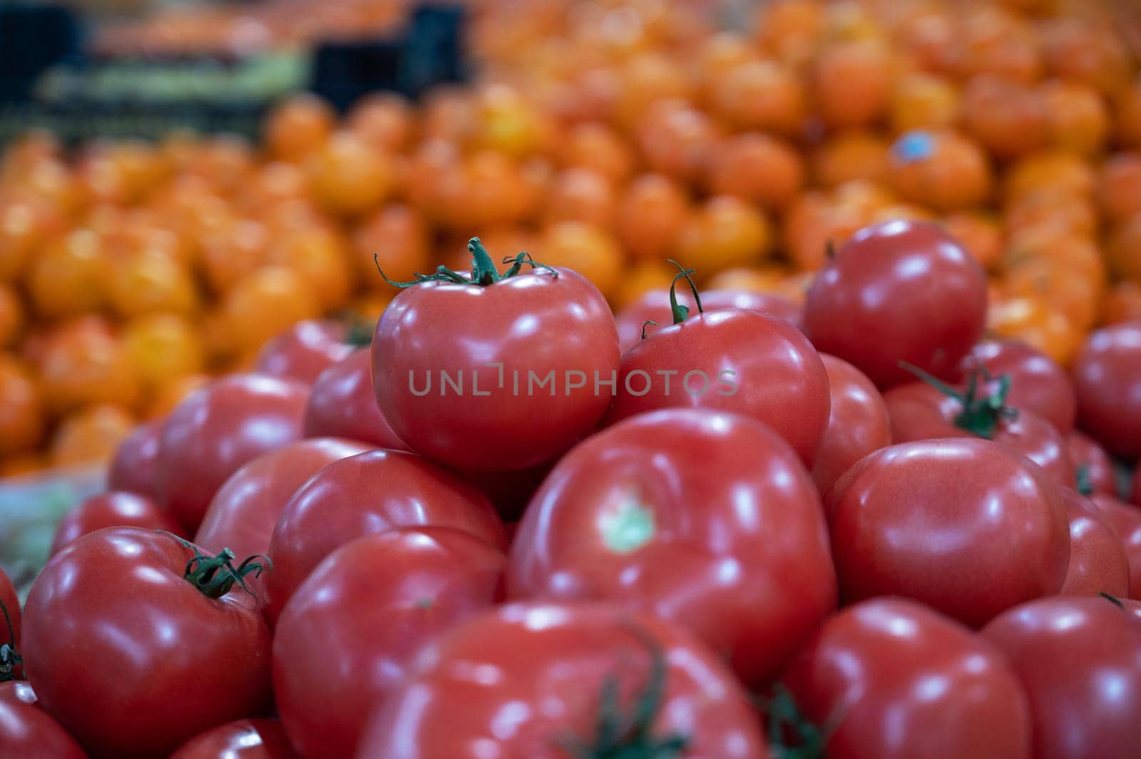 Assortment of fresh tomatoes at market