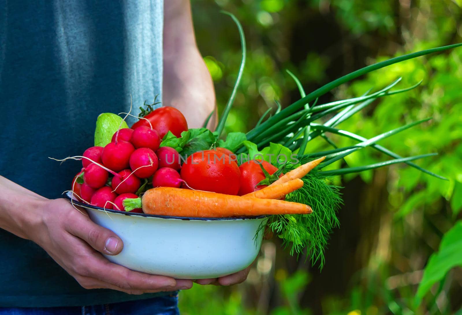 farmer in blue clothes holds ripe vegetables in his hands. Carrots, pink radishes, zucchini, cucumber, onions. No plastic, no waste, ecology Selective focus
