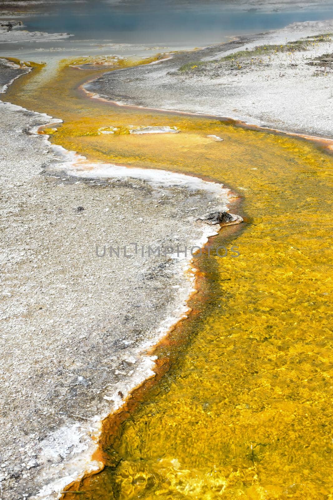 Steamy thermal river flowing into Yellowstone by lisaldw