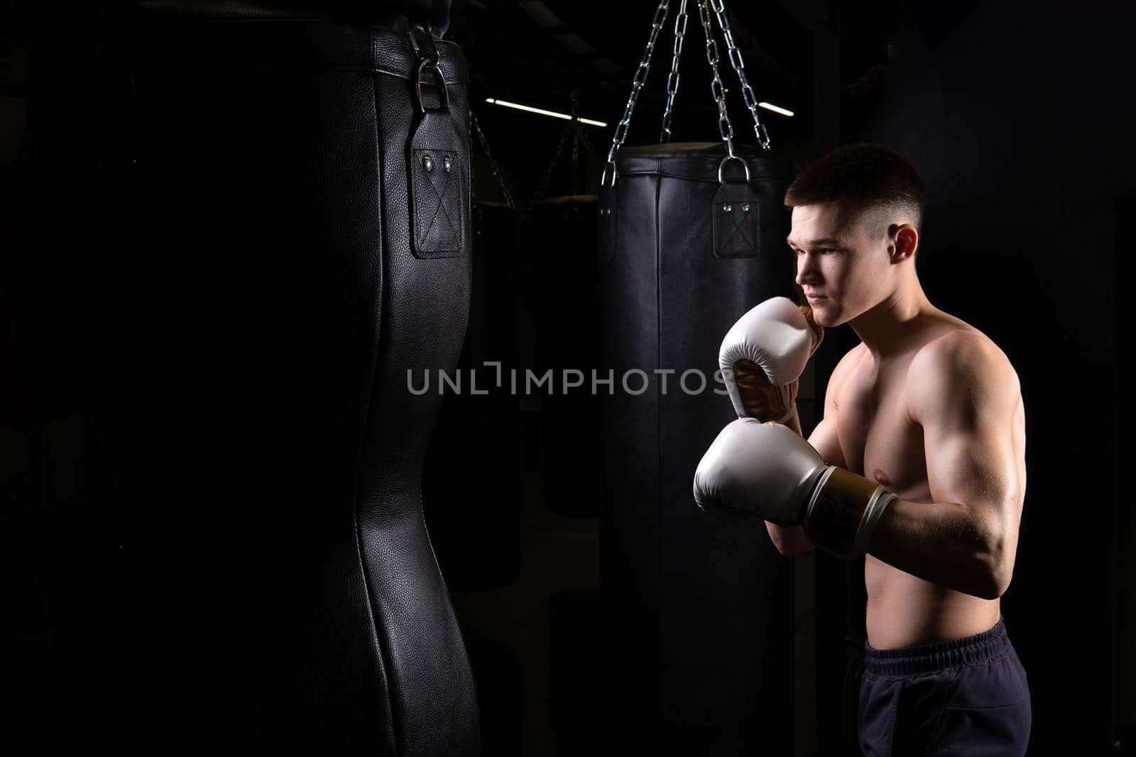 The blows practices bag boxer athlete the glove black young professional body, from strength muscle in punch from exercise lifestyle, sportswear sweat. Backlit model people, one