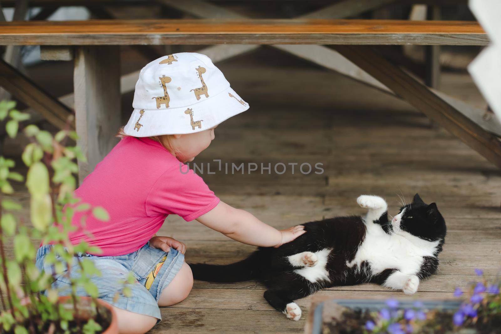 A little girl playing with funny cat outdoors.