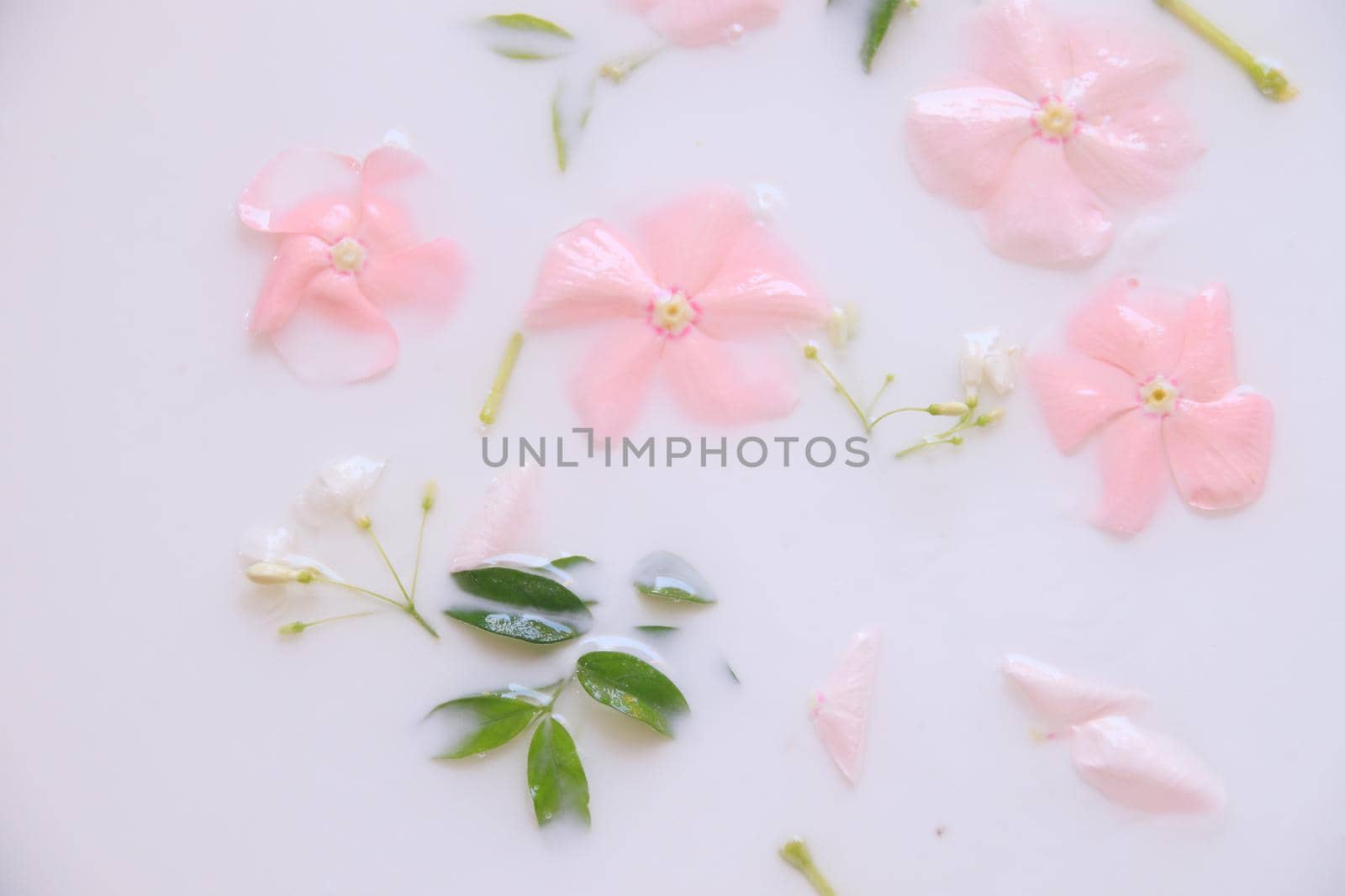 Flowers in a milk bath by Sonnet15