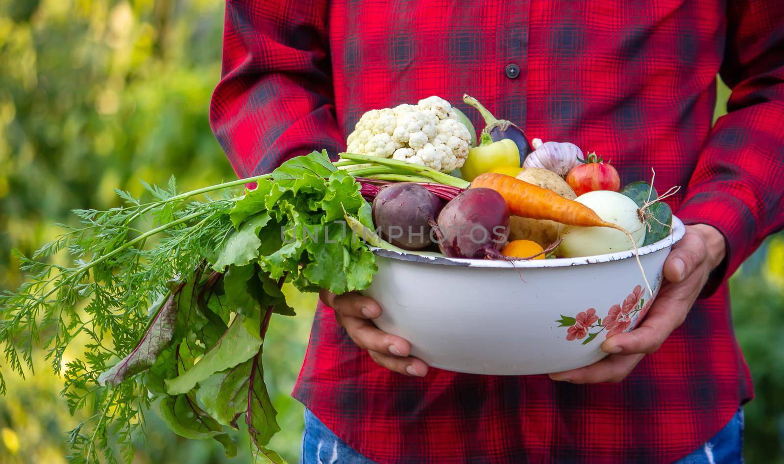 a man holds a bowl of fresh vegetables from the farm in his hands. Nature. Selective focus