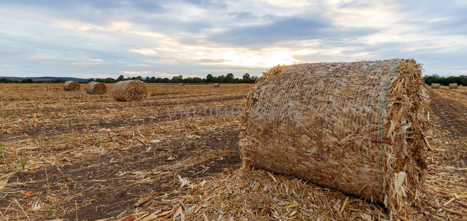 Scenic view at big bales hay on the field at sunset after harvest