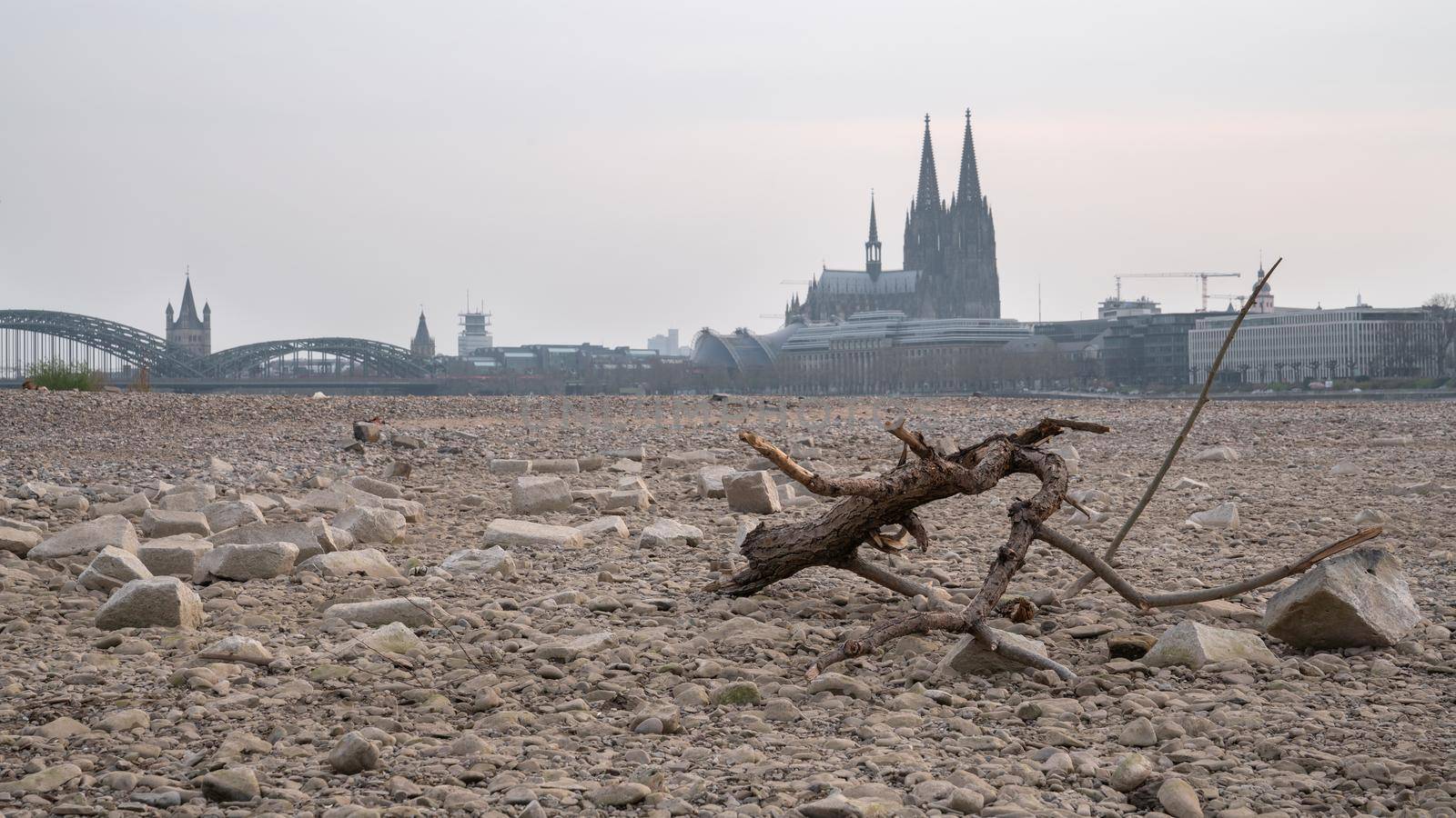 Low water of the Rhine river in Cologne, drought in Germany