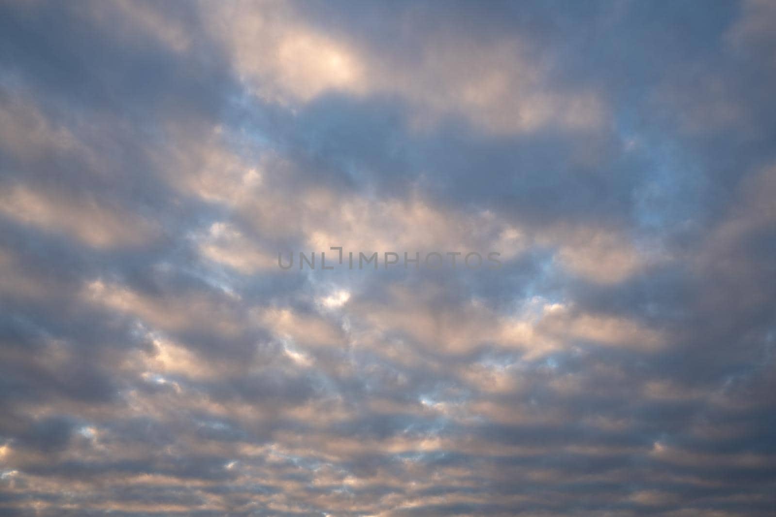 View to sky with fleecy clouds