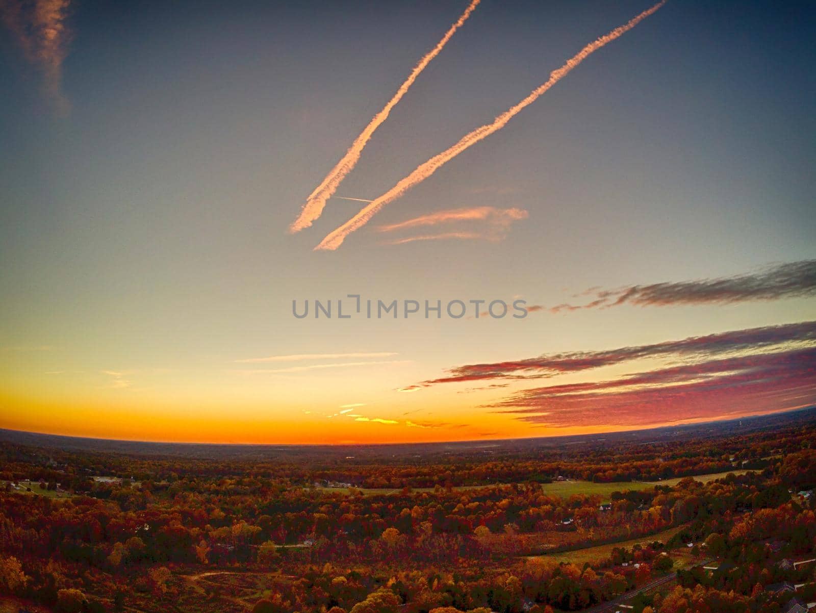 aerial view of colorful trees in a neighborhood before sunset by digidreamgrafix