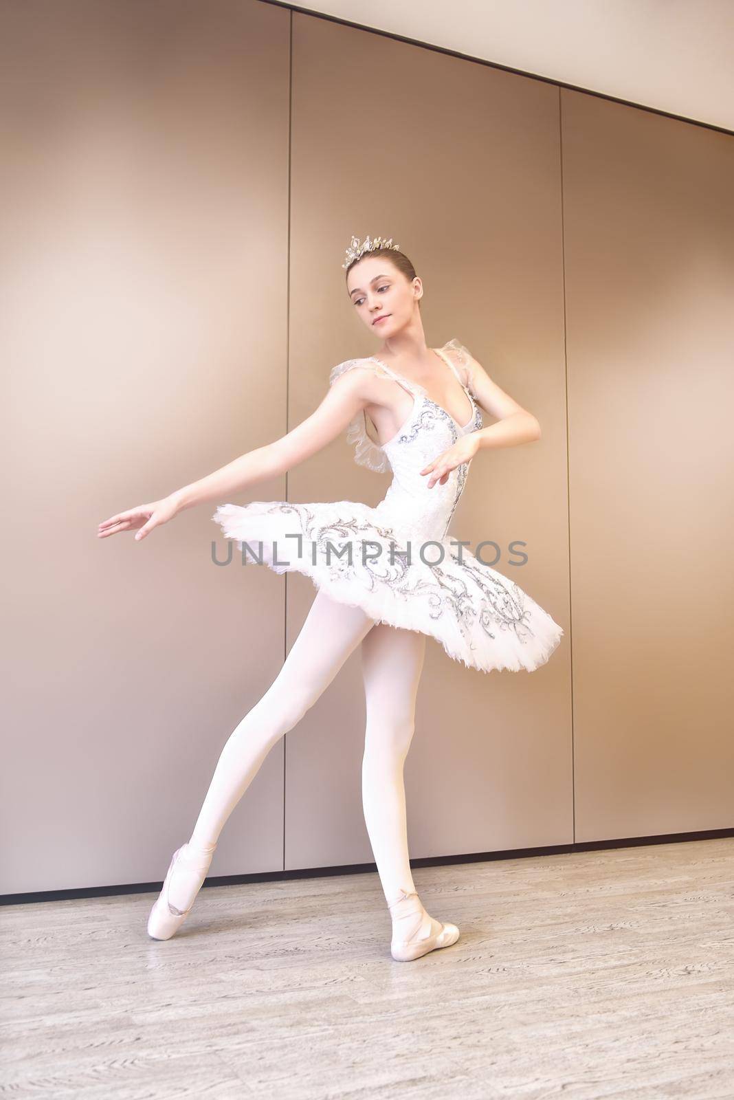 young caucasian ballet dancer practice ballet positions in professional tutu skirt of white swan. young beautiful woman ballet dancer in tutu practice ballet positions