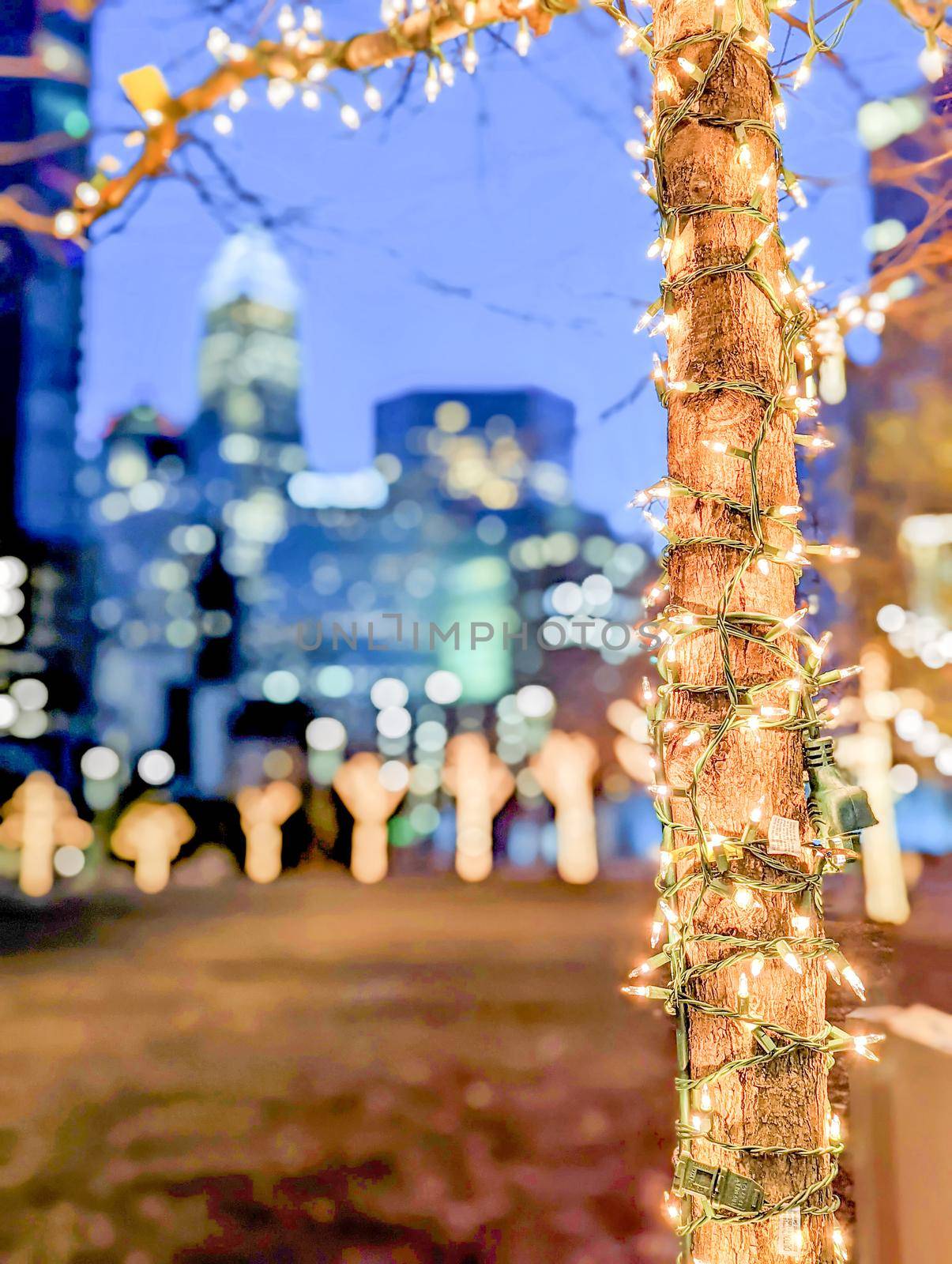 charlotte nc early morning decorated with holiday lights by digidreamgrafix