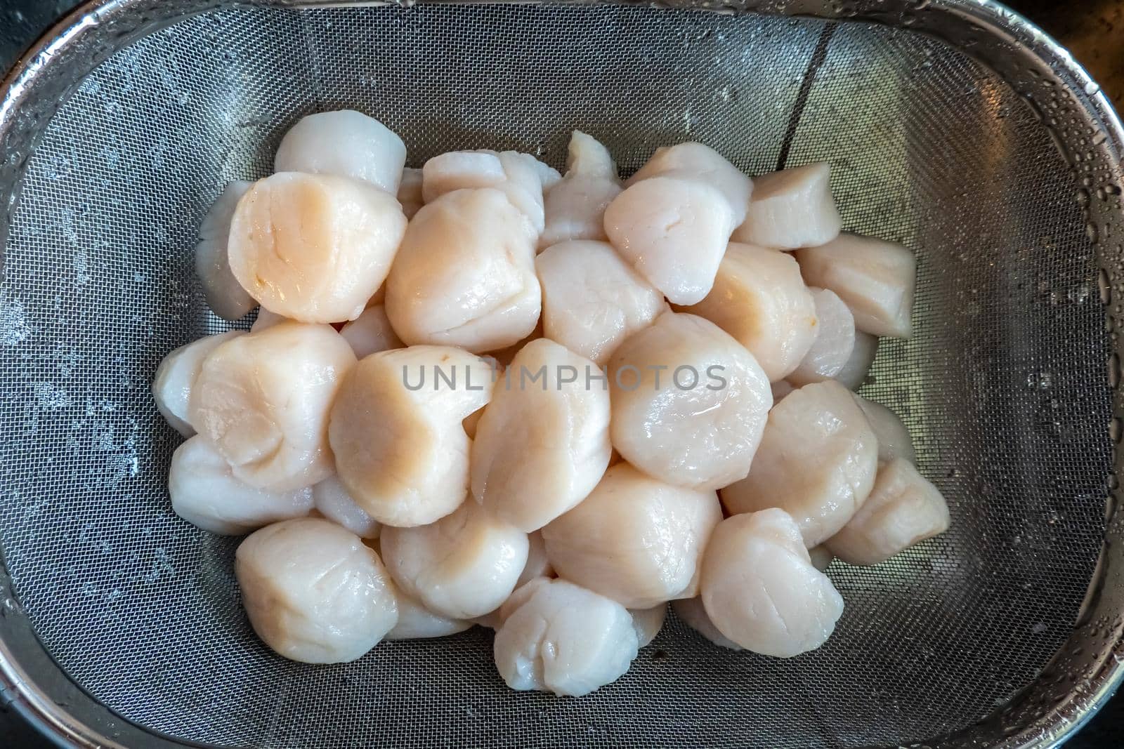 raw scallops prepared for party