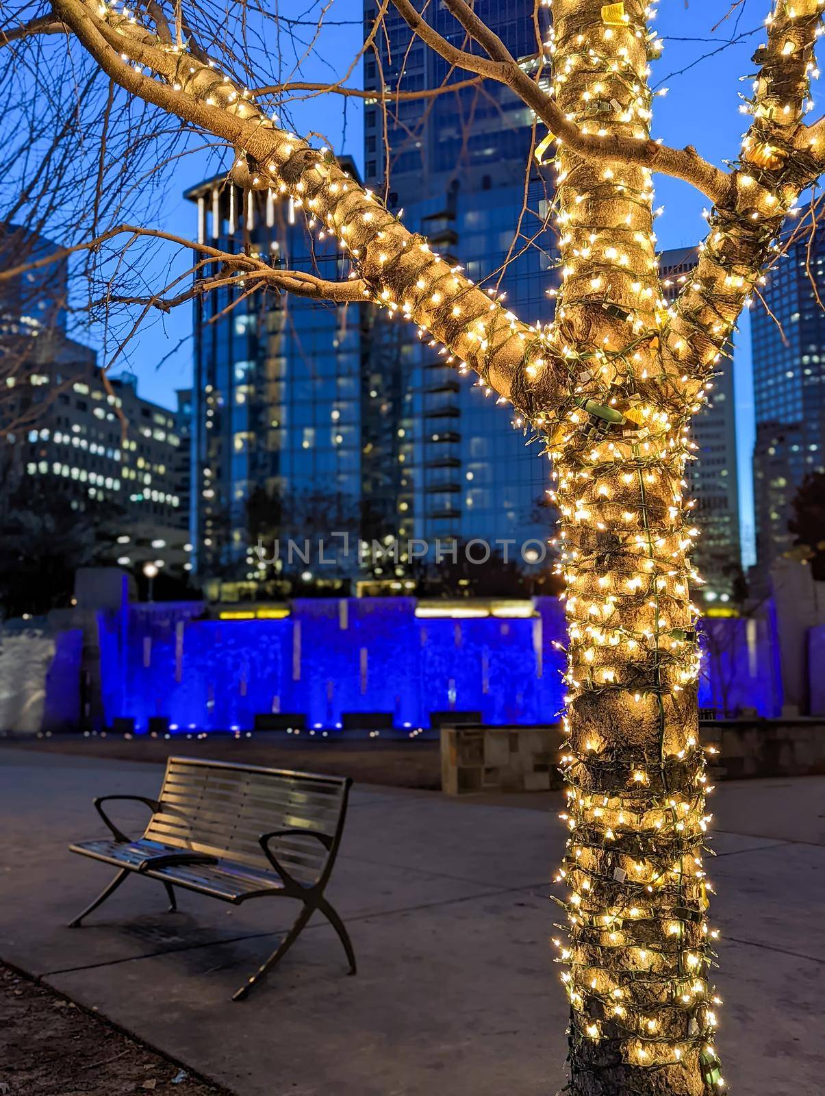 charlotte nc early morning decorated with holiday lights by digidreamgrafix