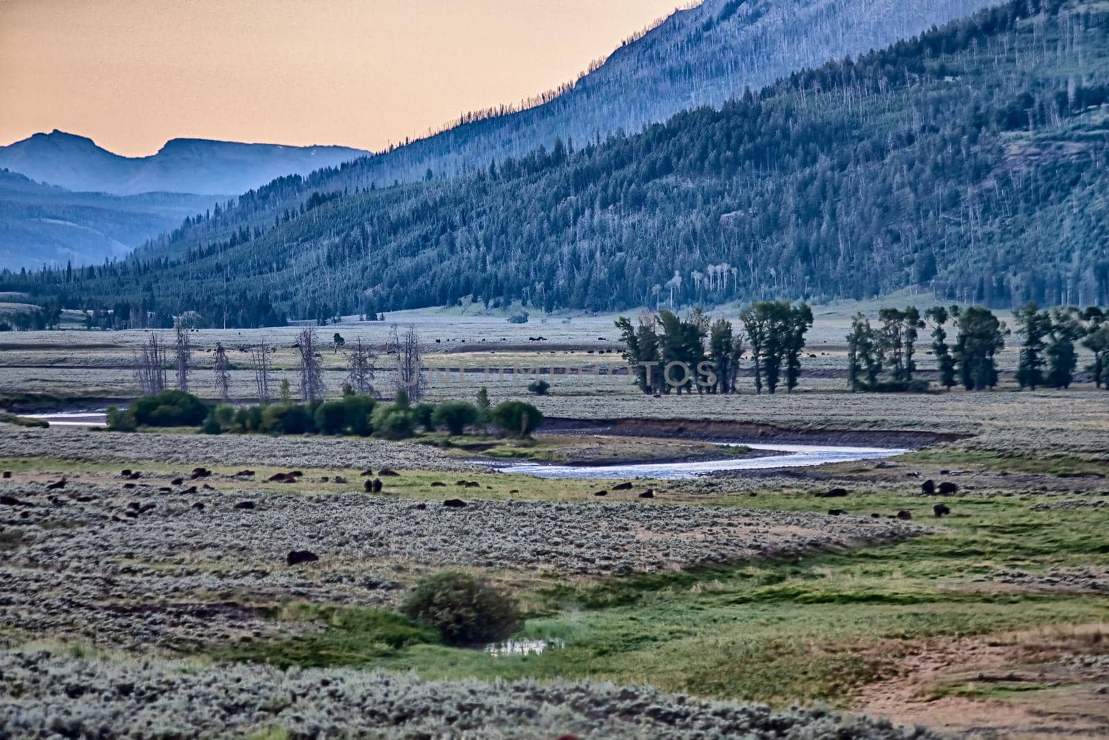 The sun setting over the Lamar Valley near the northeast entrance of Yellowstone National Park in Wyoming. by digidreamgrafix