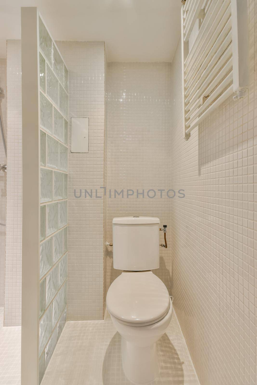 The interior of a bathroom in a cozy house with a toilet separated by a glass partition