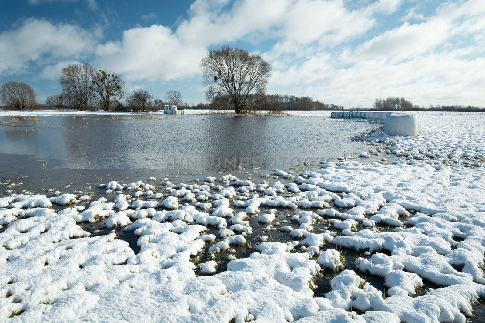 Snow and water in the meadow with trees, winter sunny day
