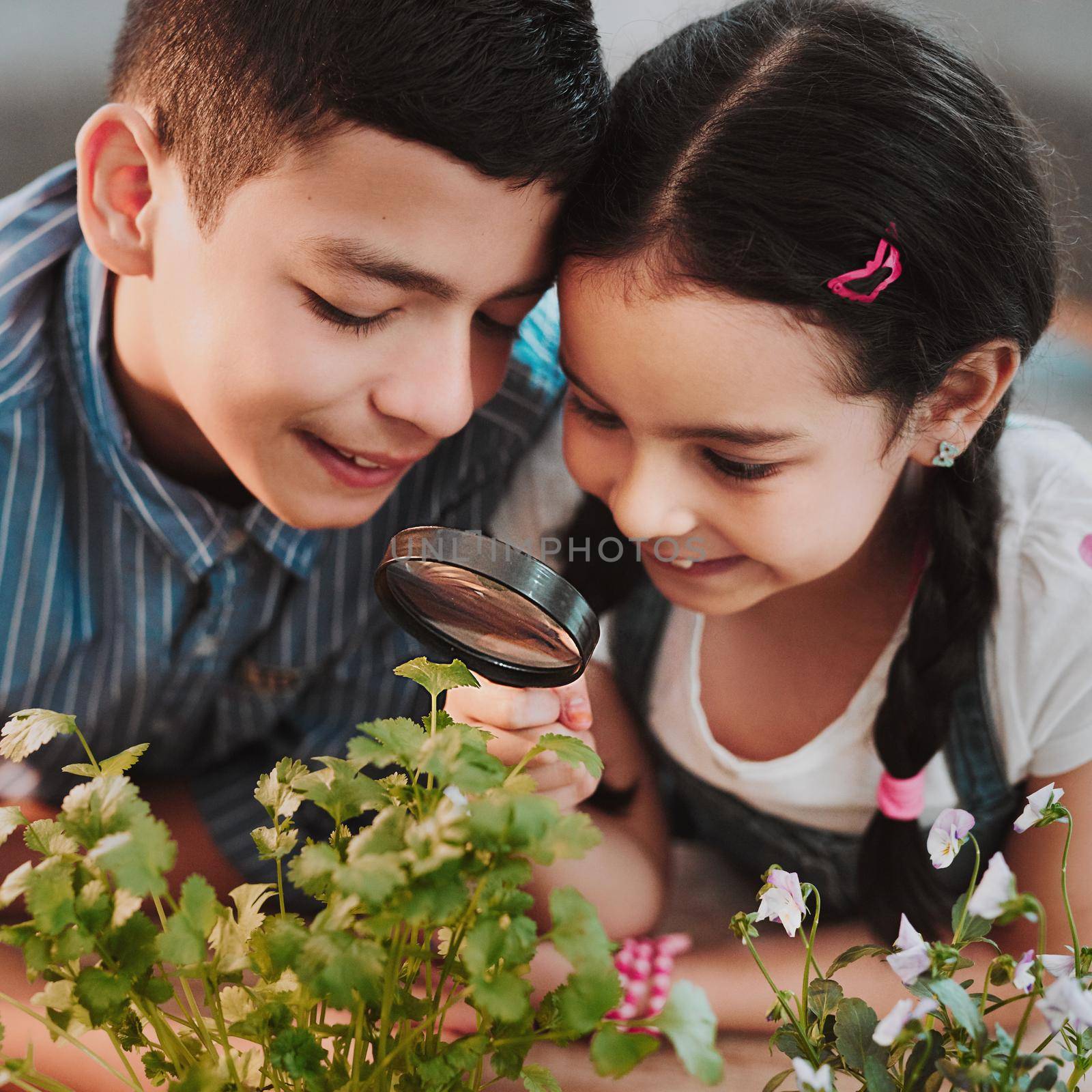 You can see everything so clearly. Cropped shot of two adorable young siblings looking through a magnifying glass while experimenting with plants at home. by YuriArcurs