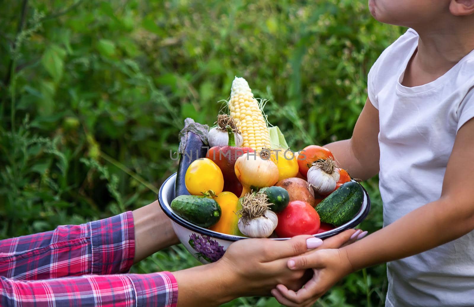 Child in the garden with vegetables in his hands. Selective focus. nature.