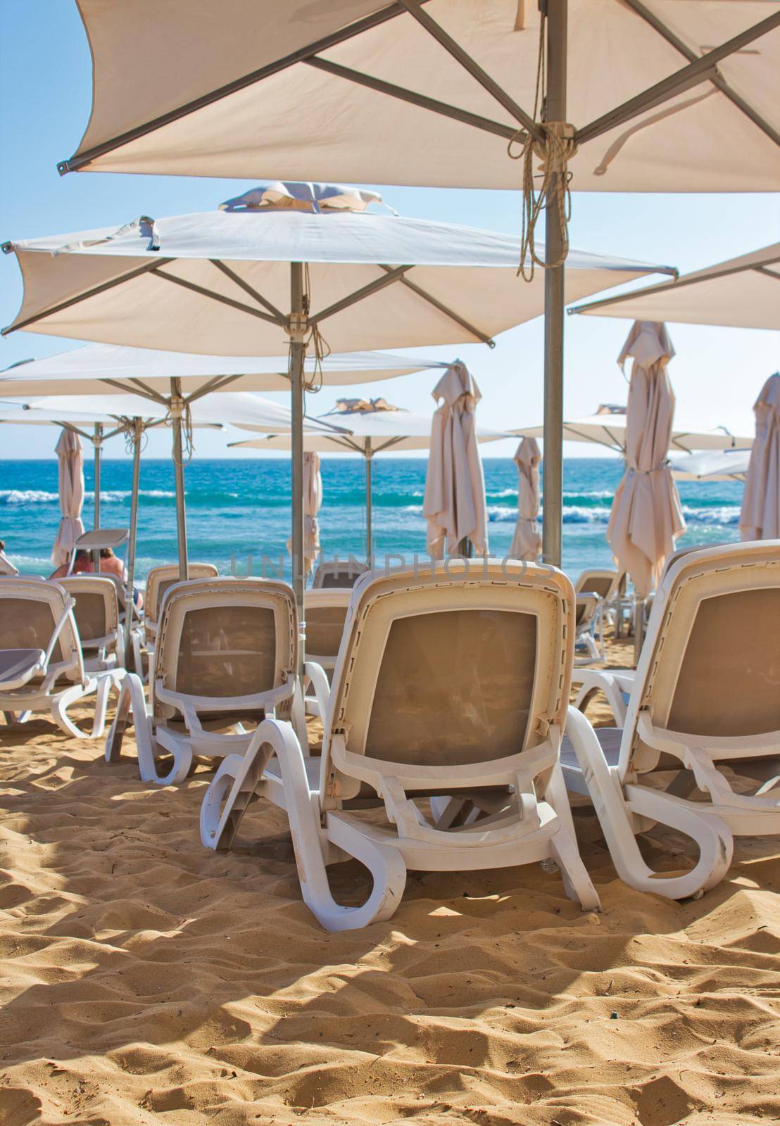 Rows of plastic reclining chairs / lounge recliners / sunbeds on a golden sandy beach in the summer with shade umbrellas by tennesseewitney