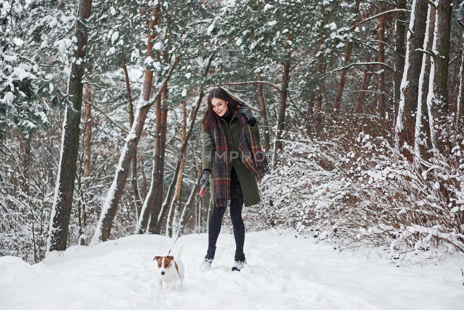 Happy together. Woman in warm clothes walks the dog in the snowy forest. Front view by Standret