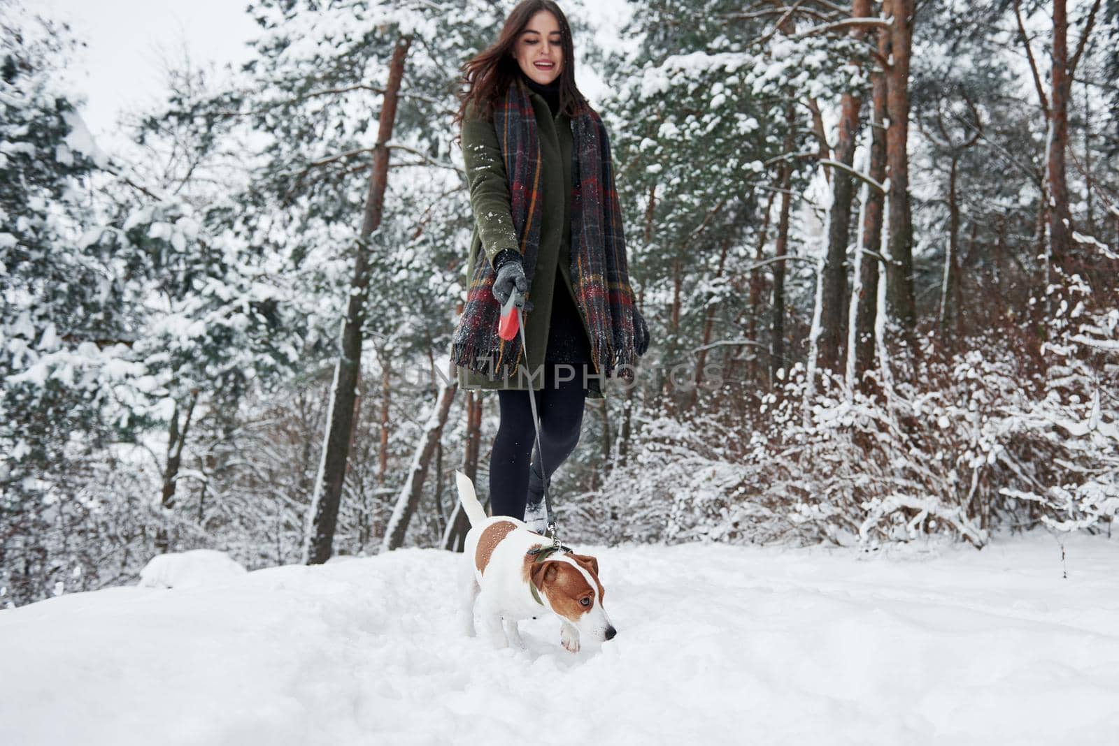 Nice weekend. Woman in warm clothes walks the dog in the snowy forest. Front view by Standret