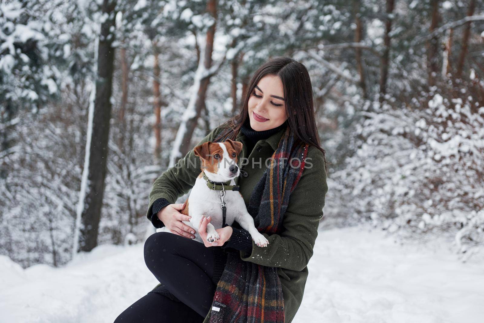 Get ready for new discoveries. Smiling brunette having fun while walking with her dog in the winter park by Standret